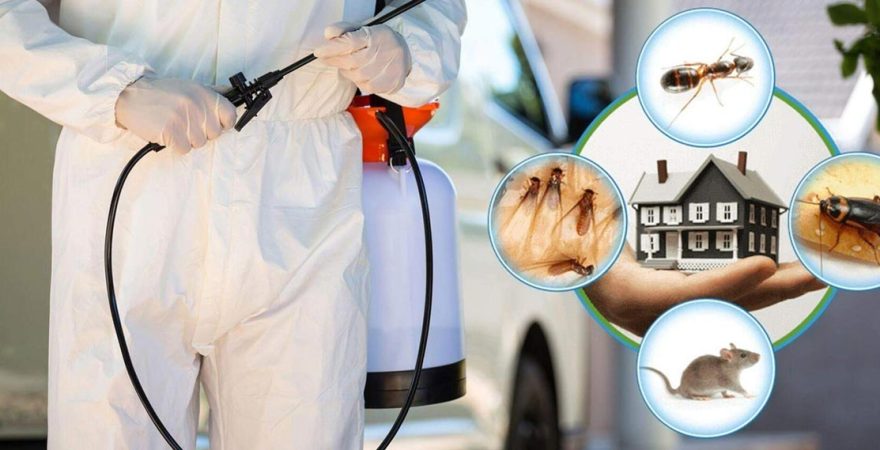 Bağlar Böcek İlaçlama