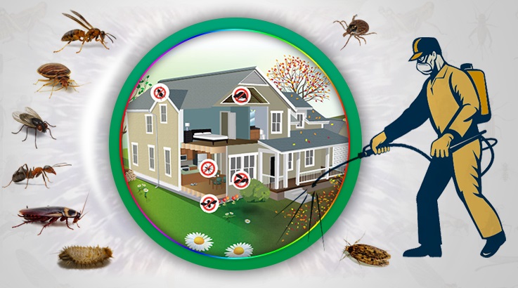 Bağlar Böcek İlaçlama