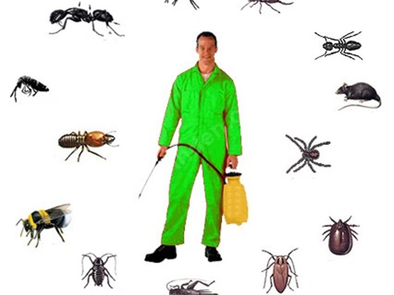 Bağlar Böcek İlaçlama